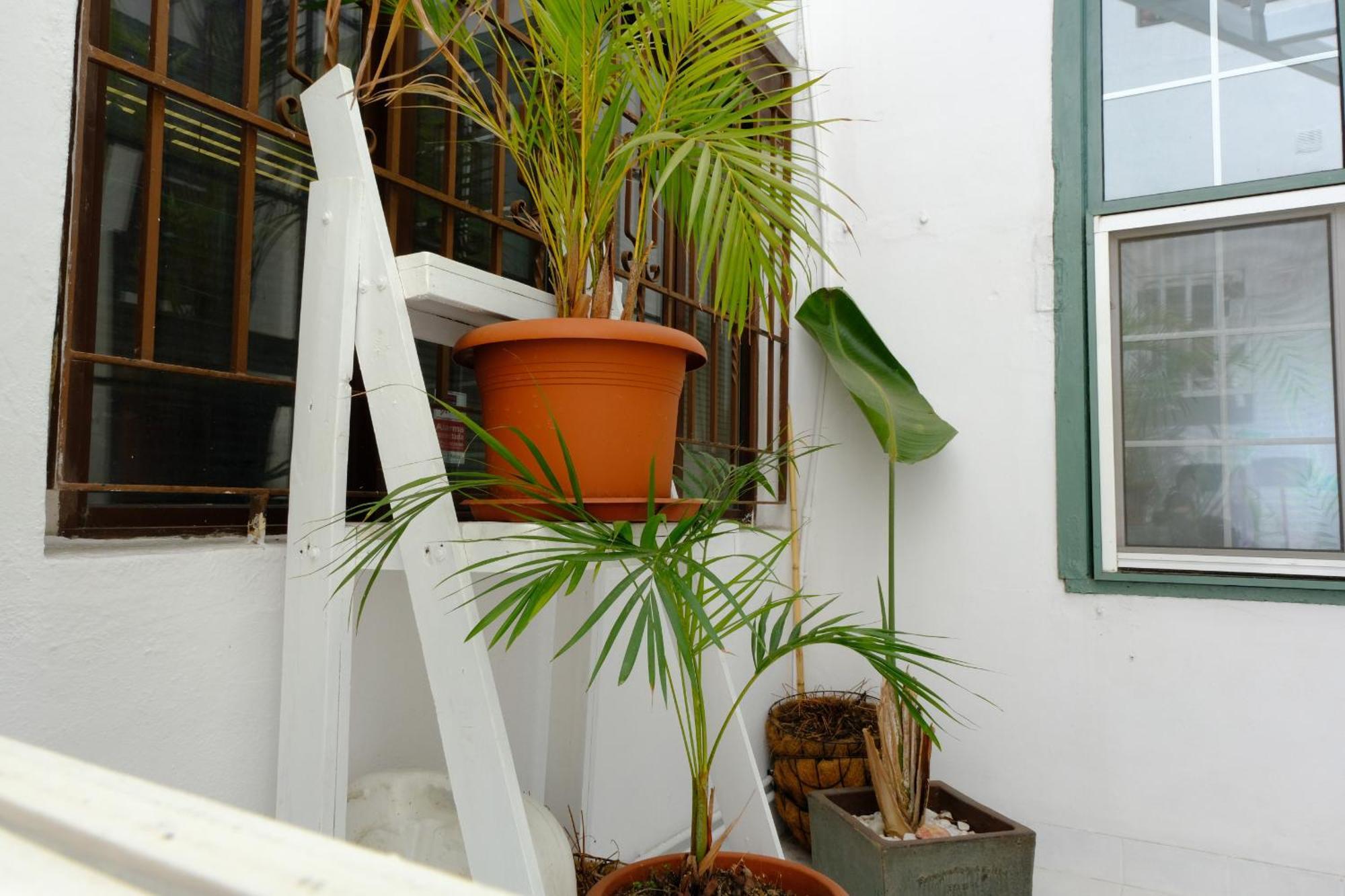 סנטה קרוס דה לה פלמה Rooftop Dreamhouse - 3Br With Seaviews מראה חיצוני תמונה